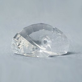 Swarovski Kristal | SCS | Leden Geschenken | SCS - Ledengeschenk 2015 - Paperweight Pauw | 5063699